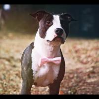 Jessica TOUCHARD - SILA STUDIO